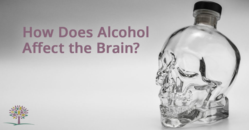 Alcohol and the brain