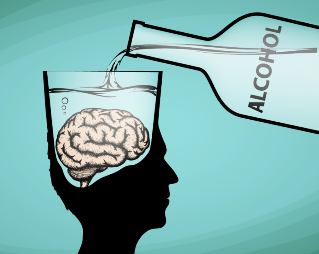 Which Part(s) of the Brain, When Impaired by Alcohol, Play an Important Role in Memory?