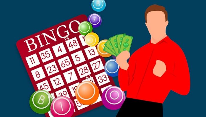 The Rise of the popularity of Bingo Bars Explained