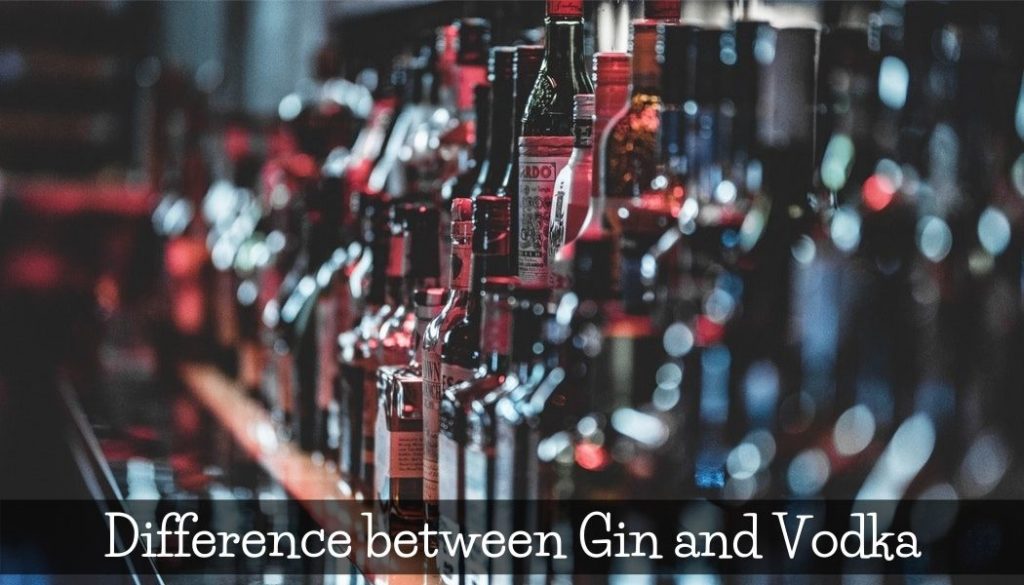 Difference between Gin and Vodka