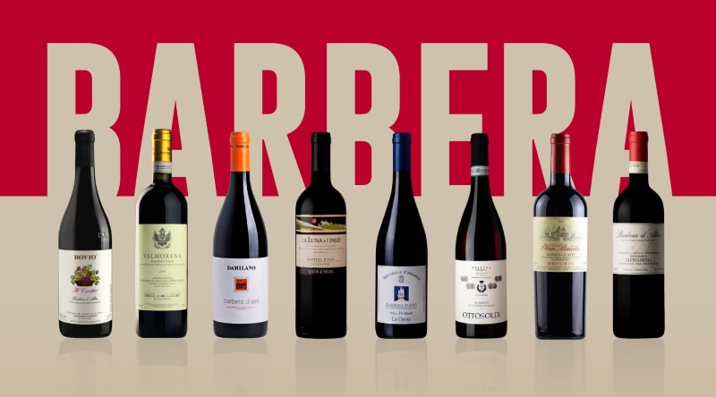 Barbera wine regions